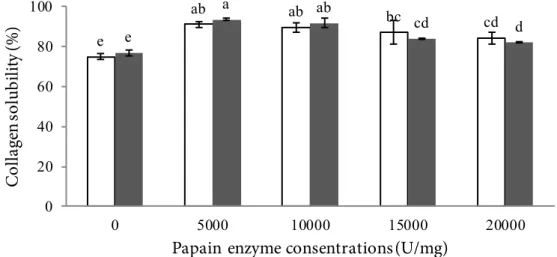 Figure 3 Solubility of catfish swim belleder  collagen with a combination of the concentration of  the papain enzyme and the time of soaking
