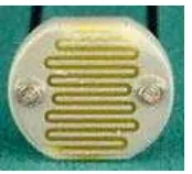 Gambar 2.3. LDR (Light Dependent Resistor) 