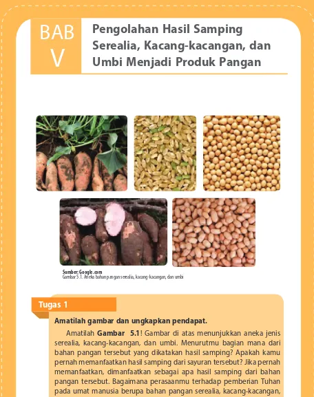 Gambar 5.1. Aneka bahan pangan serealia, kacang-kacangan, dan umbi  