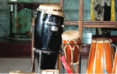 Gambar 4.1 Jenis alat musik 