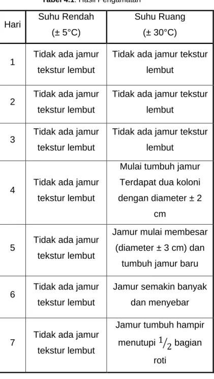 Tabel 4.1. Hasil Pengamatan 