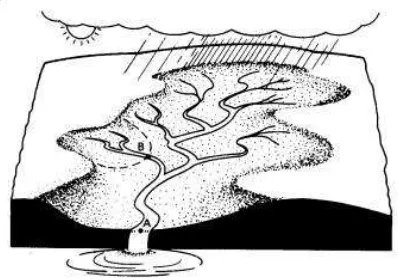 Gambar 1 : Daerah Aliran Sungai ( Watersheds/Drainage Basin) 