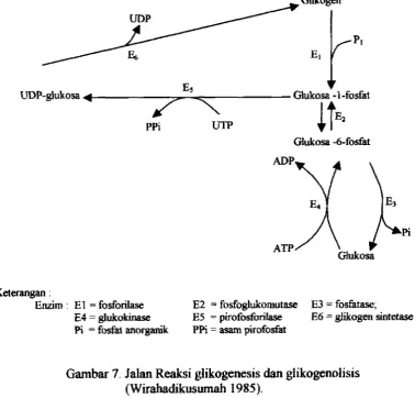 Gambar 7. Jalan R&i 