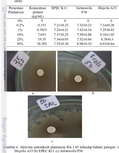 Tabel 1. Diameter zona hambat plantarisin IIA-1A5 terhadap bakteri   pathogen    (mm) 