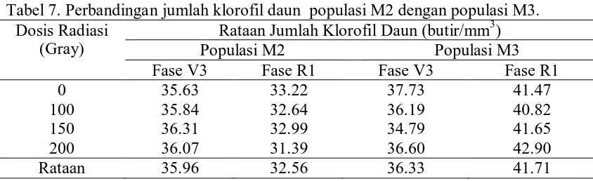 Tabel 7. Perbandingan jumlah klorofil daun  populasi M2 dengan populasi M3. Dosis Radiasi Rataan Jumlah Klorofil Daun (butir/mm3) 