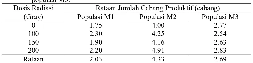Tabel 12. Perbandingan jumlah cabang produktif populasi M1, M2, dengan populasi M3. 