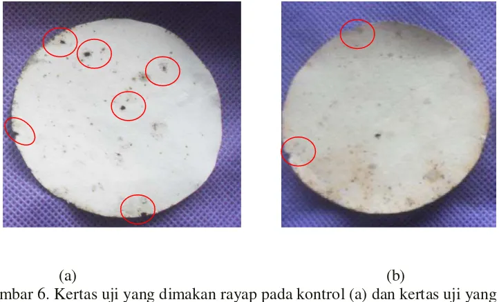 Gambar 6. Kertas uji yang dimakan rayap pada kontrol (a) dan kertas uji yang diberi ekstrak biji saga (b) 