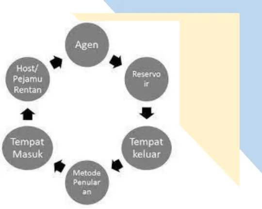 Gambar 1. Rantai infeksi 
