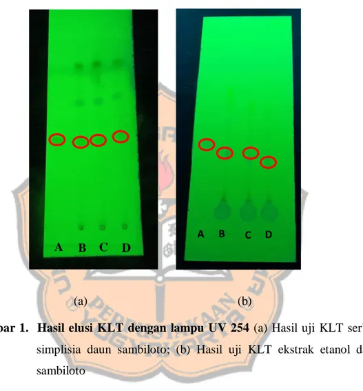 Gambar 1.  Hasil elusi  KLT  dengan lampu UV 254  (a) Hasil uji  KLT serbuk  simplisia  daun  sambiloto;  (b)  Hasil  uji  KLT  ekstrak  etanol  daun  sambiloto 