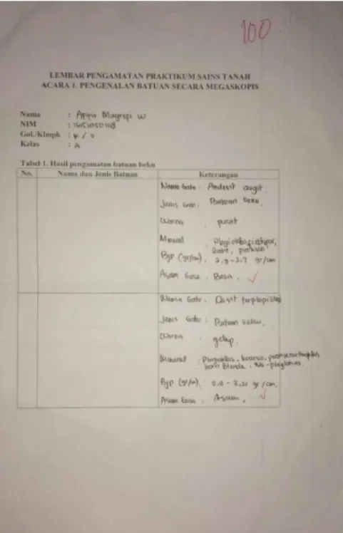 Tabel ACC Afifa Mayrefi W. 