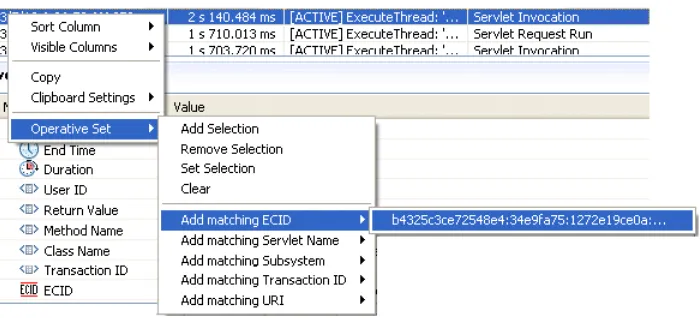 Figure 3–5Operative Set Defined by Execution Context ID (ECID)