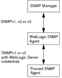 Figure 4–1Separate Conversations for Proxied SNMP Communication