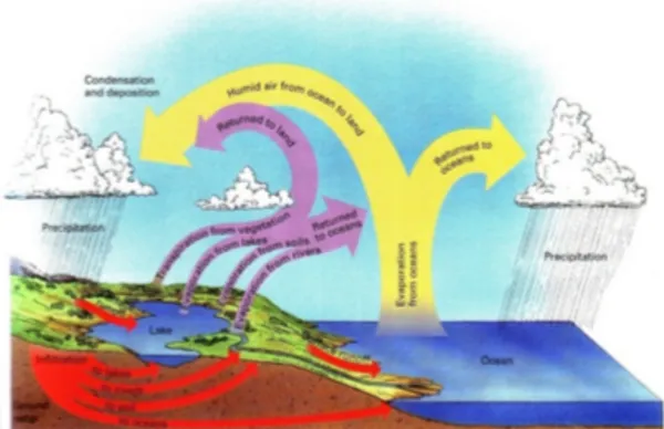 Gambar 1 Daur Hidrologi (water cycle)