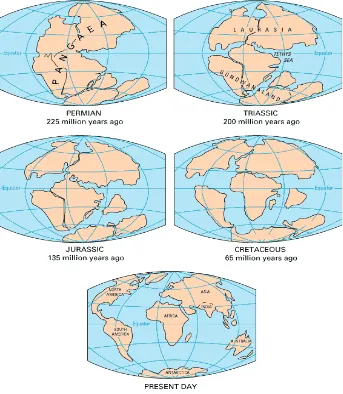 Gambar 1 Kronologis Terbentuknya Benua-benua di Bumi