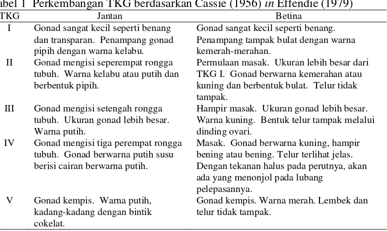 Tabel 1  Perkembangan TKG berdasarkan Cassie (1956) in Effendie (1979) 