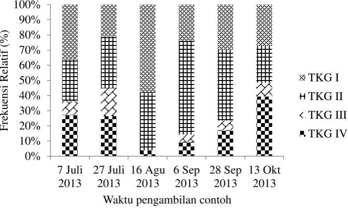 Gambar 5 dan 6 menunjukkan frekuensi tingkat kematangan gonad ikan swanggi 