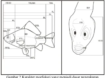 Gambar 2 Karakter morfologi yang menjadi dasar pengukuran morfometrik berdasarkan Leis dan Ewart 2004 