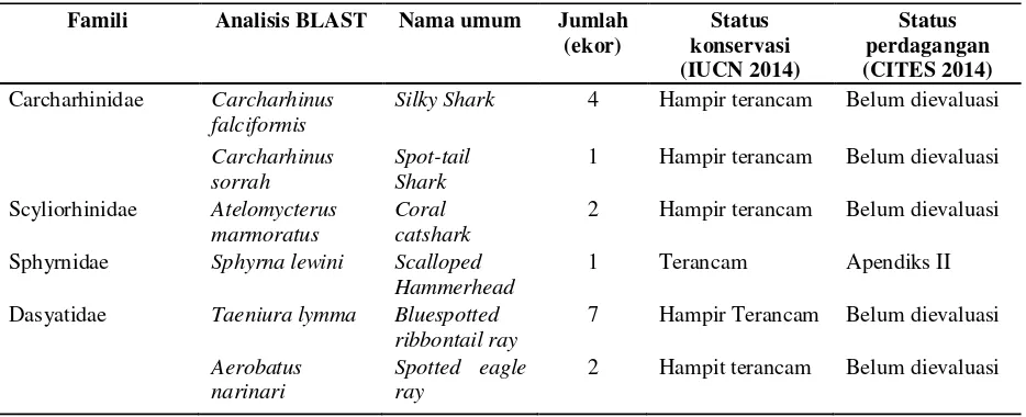 Tabel 1 Hasil identifikasi spesies hiu menggunakan BLAST dan status konservasi serta perdagangan 