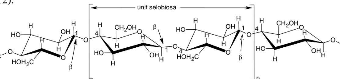Gambar 2.6. Struktur selulosa 