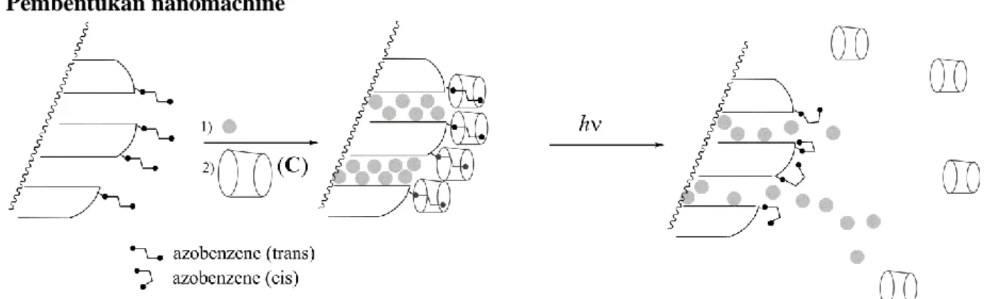 Gambar 5 – pemisahaan kompleks inklusi azobenzene ̶ cyclodextrin yang dipengaruhi oleh isomerisasi  terpicu cahaya, sehingga memudahkan penghantaran zat warna (bulatan abu-abu)