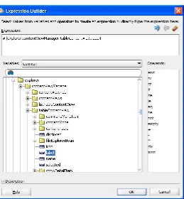 Figure 2–15The Expression Builder Dialog