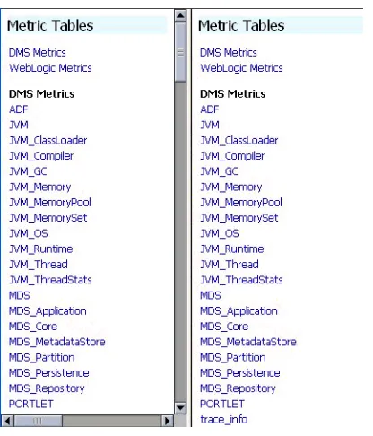 Figure 4–2Spy Servlet Page - Metrics Tables