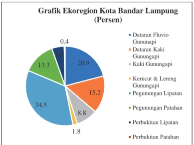 Gambar 3. 7 Grafik Ekoregion Kota Bandar Lampung 