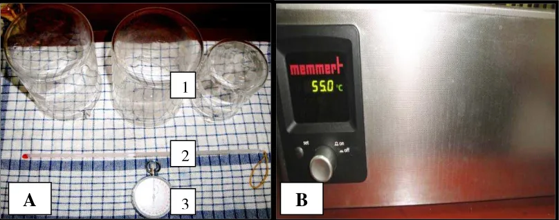 Gambar 10. A.1. Beaker glass, 2. Thermometer, 3. Stopwatch, B. Waterbath 