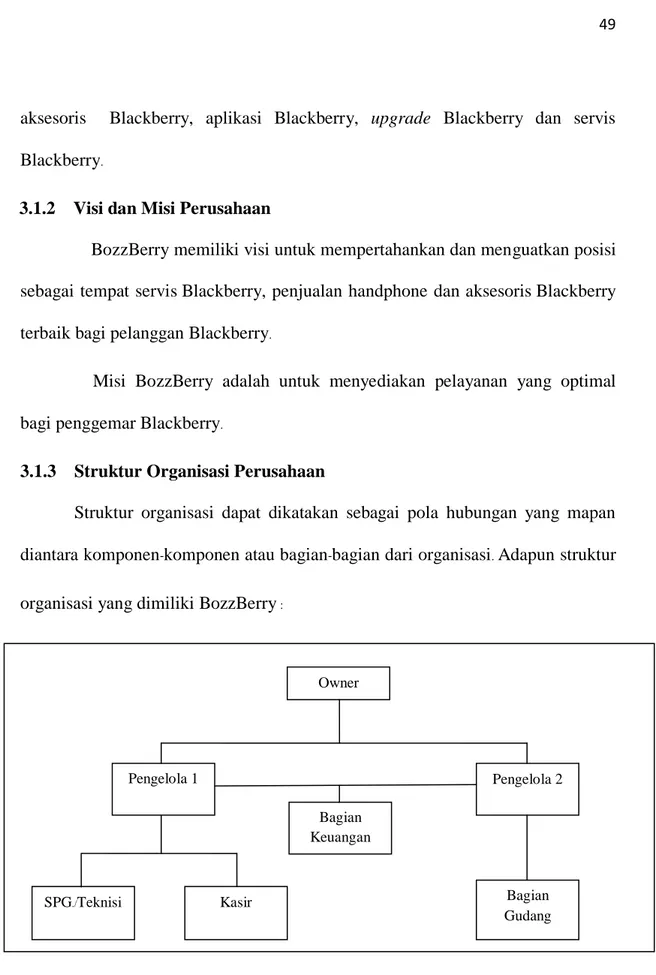 Gambar 3.1 Struktur Organisasi BozzBerry 