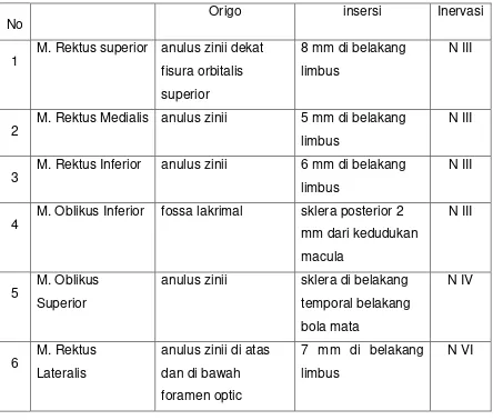Tabel 2.1. Origo dan Insersi Muskulus Ekstra Okular
