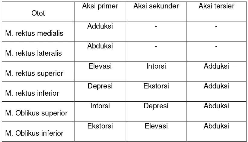 Tabel 2.2. Fungsi Muskulus Ekstra Okular  12,13, 14,19 