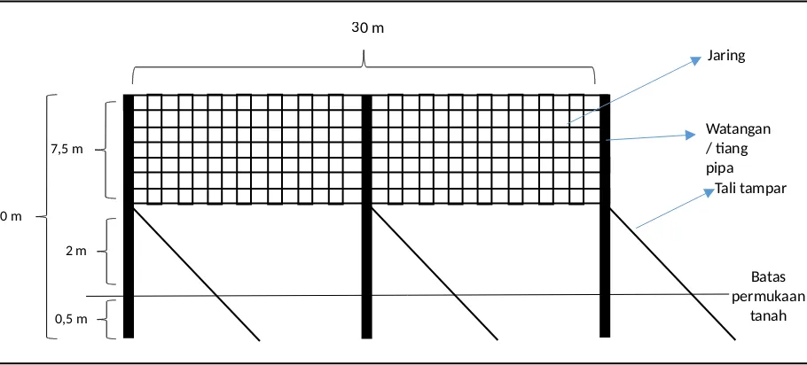 Gambar 3. jaring tampak dari depan  ukuran 30 m x 10 7,5 m (Sumber: buatan