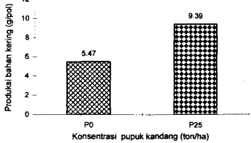 Gambar 3 Produksi bahan kering (gram) dari konsentrasi pupuk kandang 