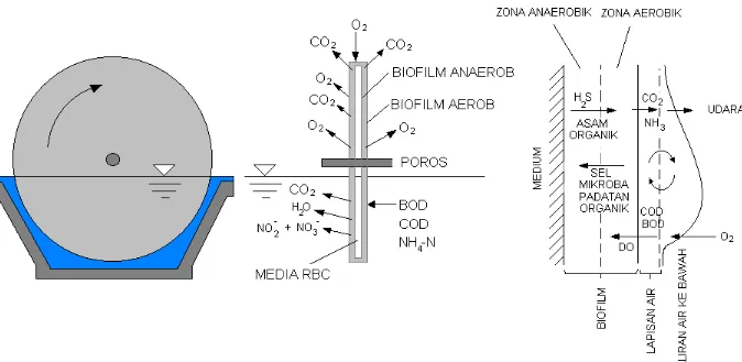 Gambar III.3 : Mekanisme proses penguraian senyawa organik oleh mikro-organisme di dalam RBC