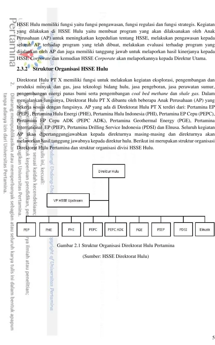 Gambar 2.1 Struktur Organisasi Direktorat Hulu Pertamina  (Sumber: HSSE Direktorat Hulu) 