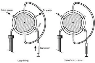 Gambar 2.11. Katup sampling (sampling valve) atau tempat injeksi sampel manual (manual injector) (Meyer, 2004)