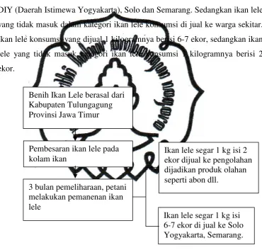Gambar 2. Alur Budidaya Ikan Lele 