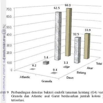 Gambar 9 Perbandingan densitas bakteri endofit tanaman kentang (G4) varietas 