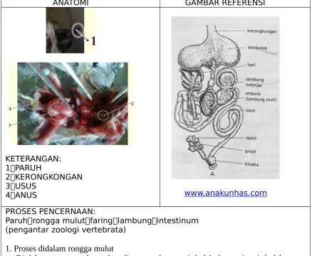 GAMBAR REFERENSI