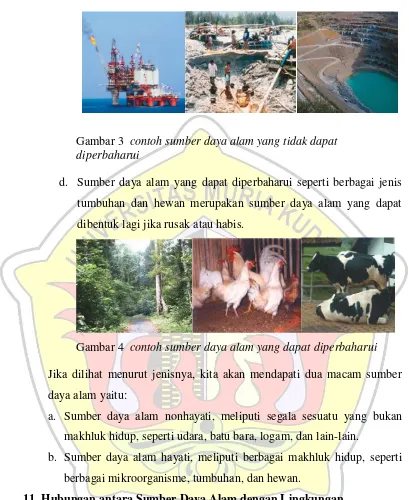 Gambar 3  contoh sumber daya alam yang tidak dapat 