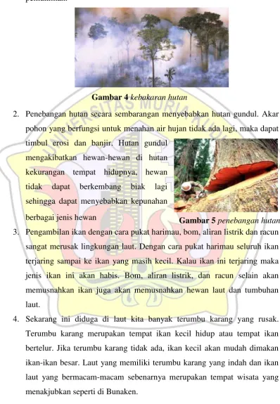 Gambar 4 kebakaran hutan 