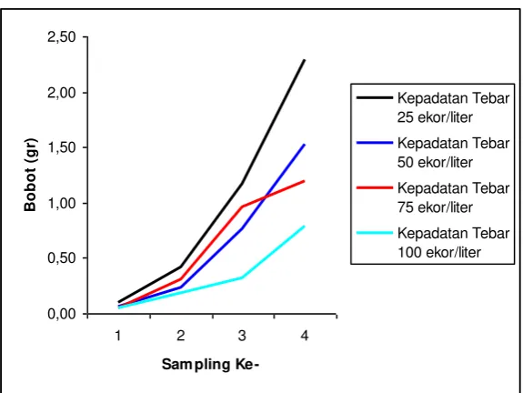 Gambar 4. Pertambahan bobot benih ikan patin pasupati setiap sampling selama  40 hari 