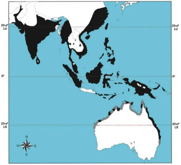 Fig 2.1. Distribution Map of Brahminy Kite in the World; black: resident, grey: regular but not breed