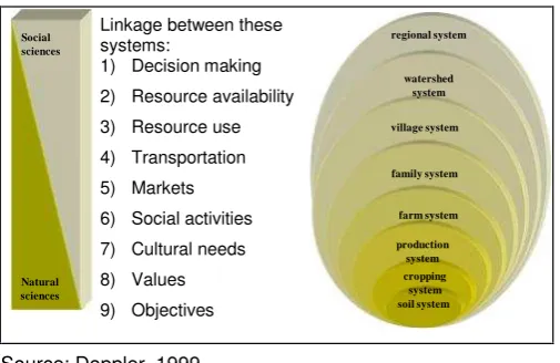 Figure 1. The vertical linkages and hierarchy system in farming systems