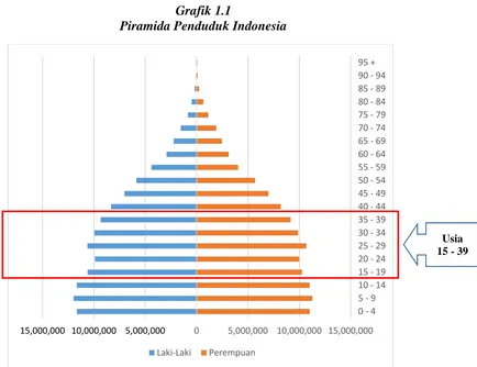 Grafik 1.1Piramida Penduduk Indonesia