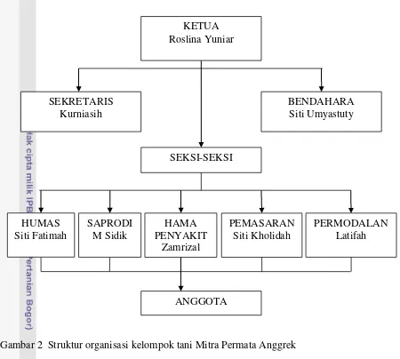 Gambar 2  Struktur organisasi kelompok tani Mitra Permata Anggrek 