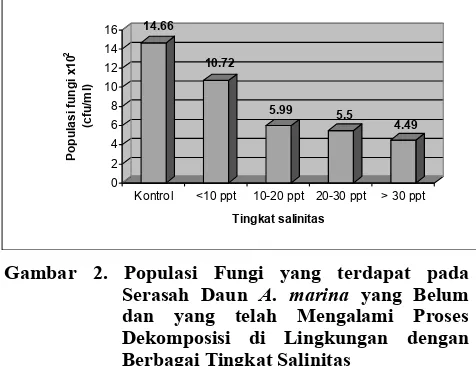 Gambar 2. Populasi Fungi yang terdapat pada Serasah Daun A. marina yang Belum 