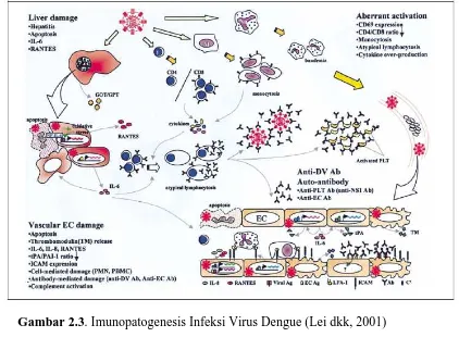 Gambar 2.3. Imunopatogenesis Infeksi Virus Dengue (Lei dkk, 2001) 