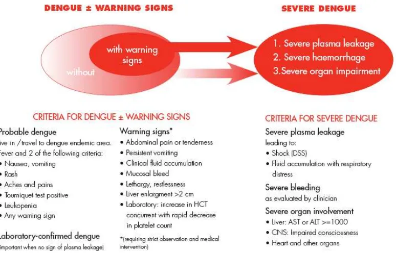 Gambar 2.4  Klasifikasi dengue dan derajat keparahan (WHO, 2009) 
