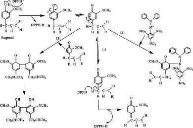 Gambar 2. Reaksi Radikal DPPH dengan Antioksidan Eugenol (Williams et al, 1995). 